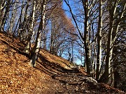 12 Nella faggeta in look autunnale